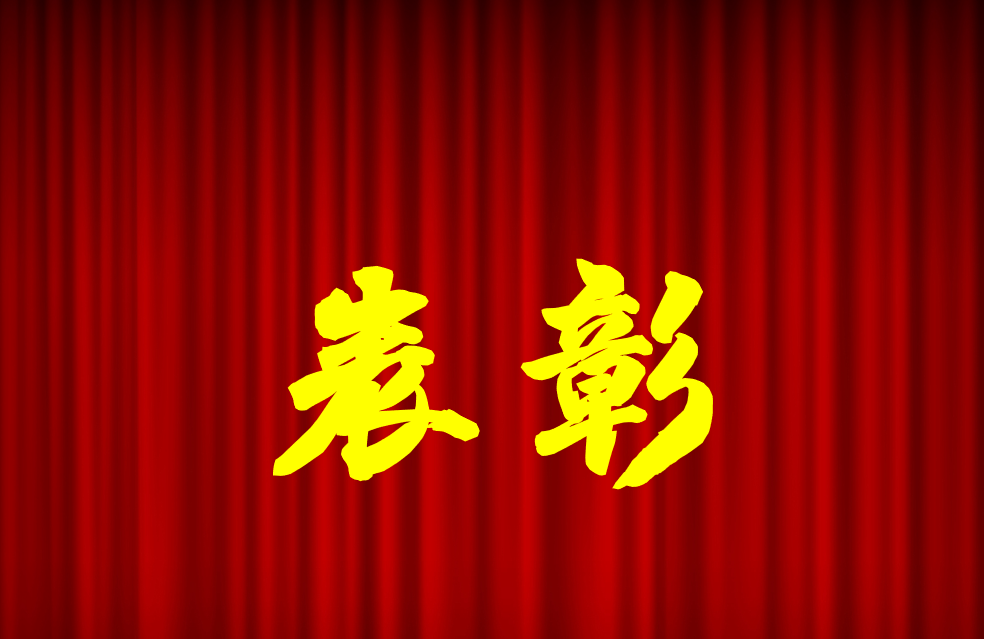逐光前行、榮耀共鑒 | 公司2024年度表彰來啦！